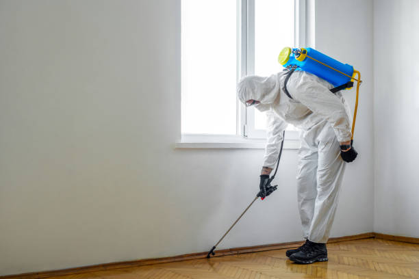 Best Commercial Pest Control  in Canyon Day, AZ